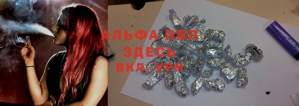ПСИЛОЦИБИНОВЫЕ ГРИБЫ Бикин