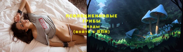 mdpv Остров