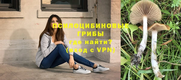 скорость mdpv Осташков