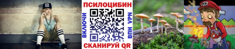 Галлюциногенные грибы мицелий  блэк спрут ссылка  Железногорск  наркотики 